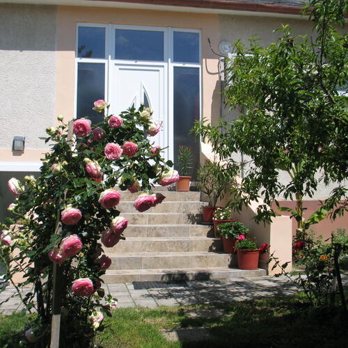 Kiss 2 Apartman Eger 