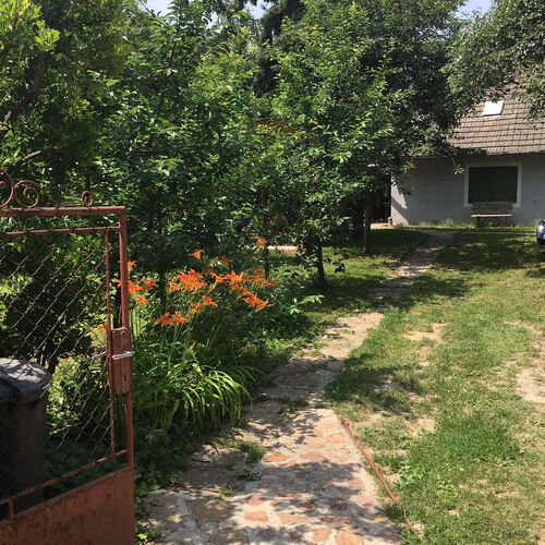 Diófa Vendégház Zebegény 