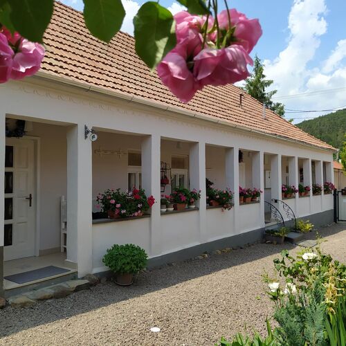 Ribizli Vintage Vendégház Parád 