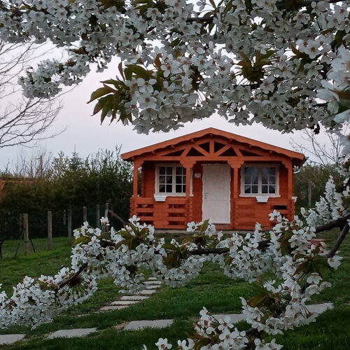 Házikó a város felett Pécs 