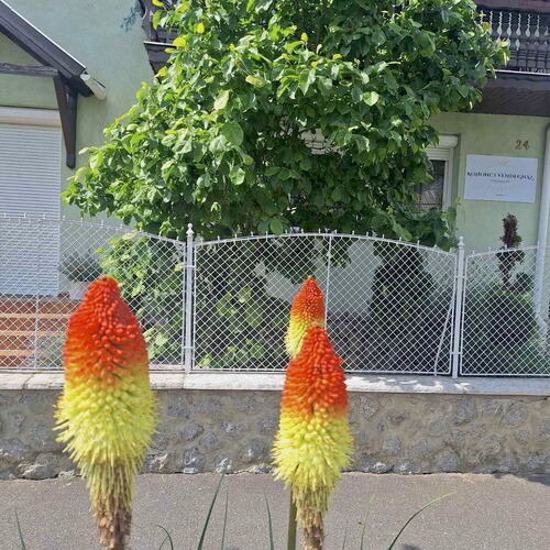 Rohonci Vendégház Kőszeg 