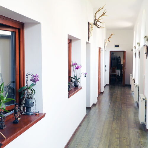 Rókabajusz Vendégház Bátaszék 