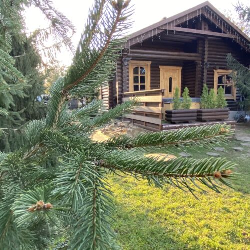 Rönk Vendégház Tiszaroff 