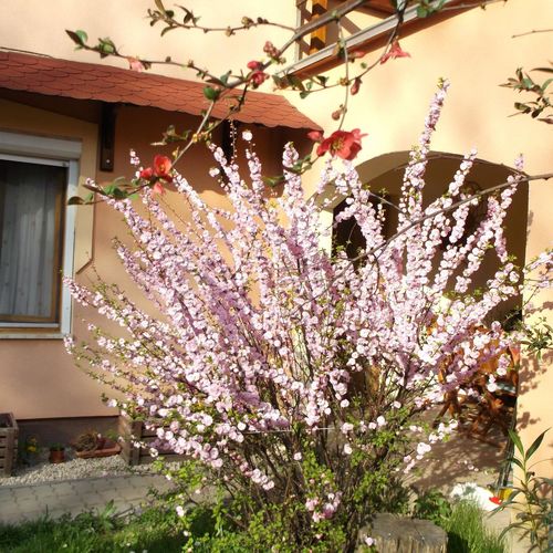 Rózsa Vendégház Szálka 