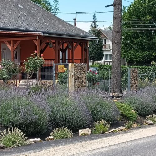 Velence Viola Villa Apartman Velence 