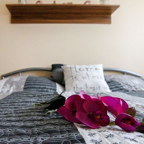 Rózsa Völgy Apartman Eger 