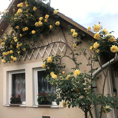 Rózsakert Vendégház Egerszalók 