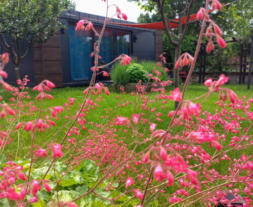 Rózsavölgy Vendégház és Vendégkert Szépasszonyvölgy Eger 