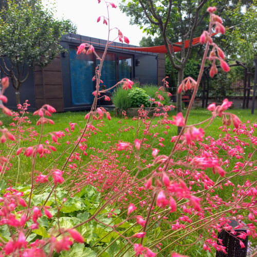 Doboshaus-Máté „A” Apartman Zamárdi 