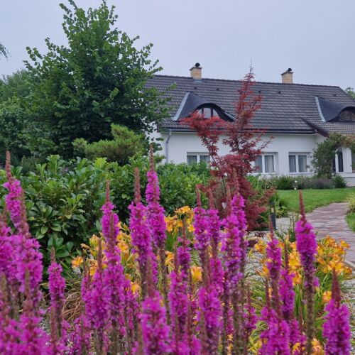 Pera Lux Apartman Eger 