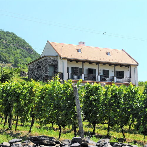 SÉD PINCE Vendégház Somlószőlős 1 SÉD PINCE Vendégház Somlószőlős