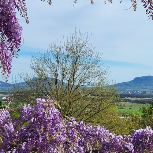 Sol Invictus Vendégház Zalahaláp 