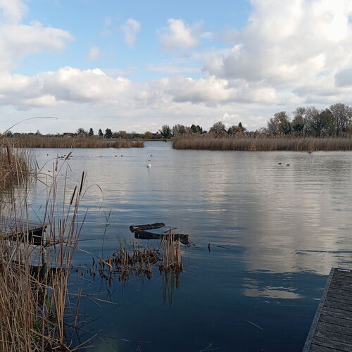 Vince Apartman Pécs 