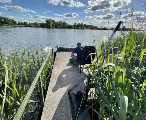 Stéghouse Kis-Duna Üdülőház Dömsöd 