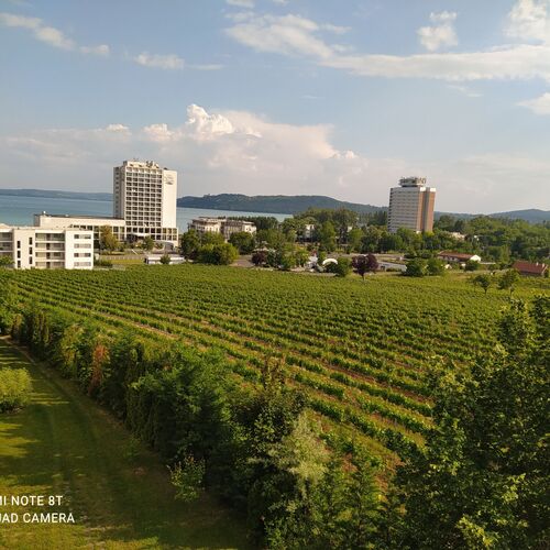 Sunset Hill Füred Apartman Balatonfüred 