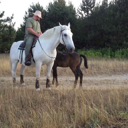 Relev2 Privát Jakuzzis Apartman Siófok 