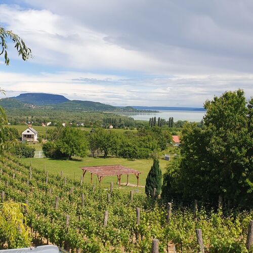 Derin Apartman Debrecen 