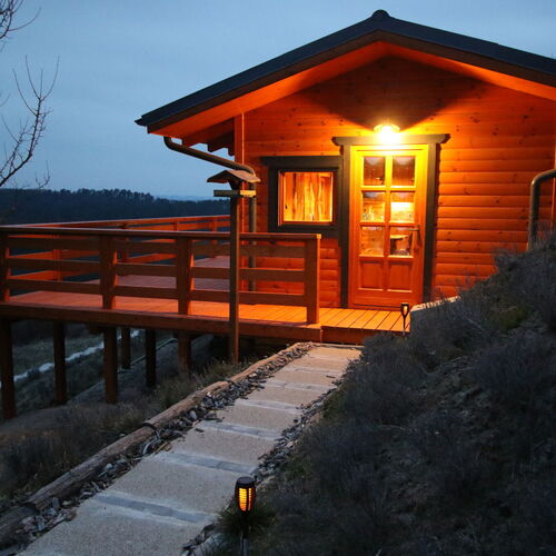 Szajkó Fakuckó*** Tamási 