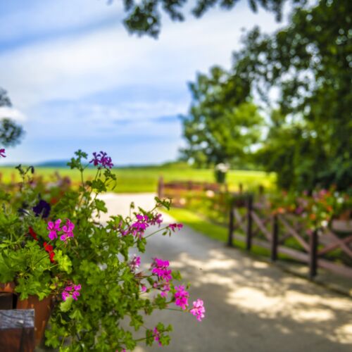 Szarvaskút Vendégházak Zirc 1 Szarvaskút Vendégházak Zirc