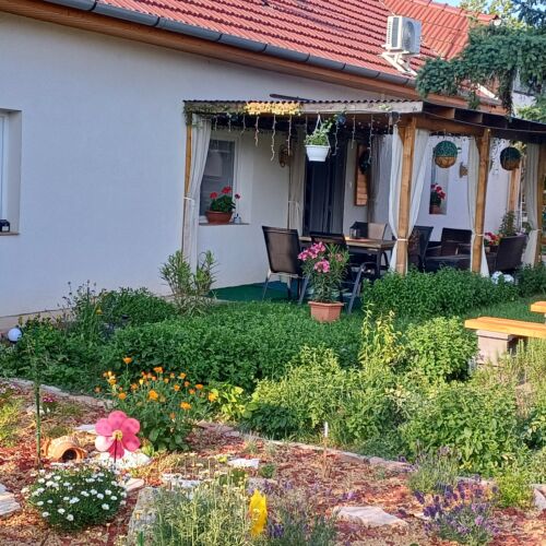 Százszorszép Vendégház Csongrád 