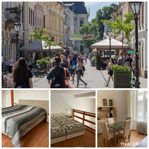 Bed & Badacsony Apartman Badacsonytördemic 