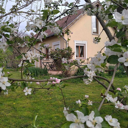 Szegi Menedék Vendégház Becsvölgye 