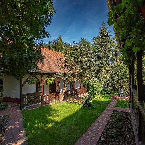 Alpaka Bakonya Svábház 