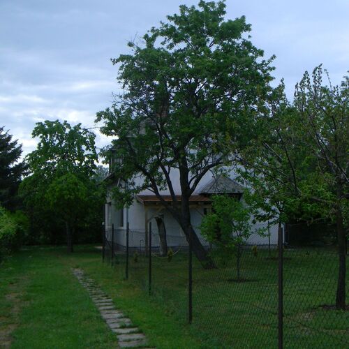 Vino Étterem és Panzió Izsák 