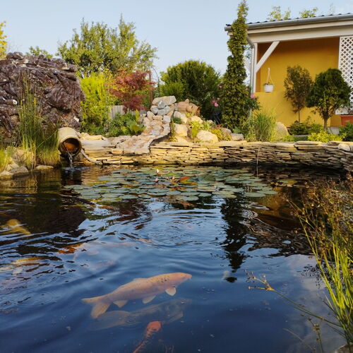 Vámosi Party Ház Vámosszabadi 