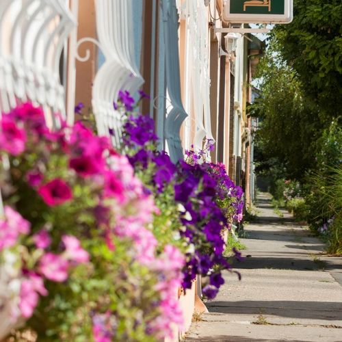 Szivárvány Panzió Szeged 2 Szivárvány Panzió Szeged