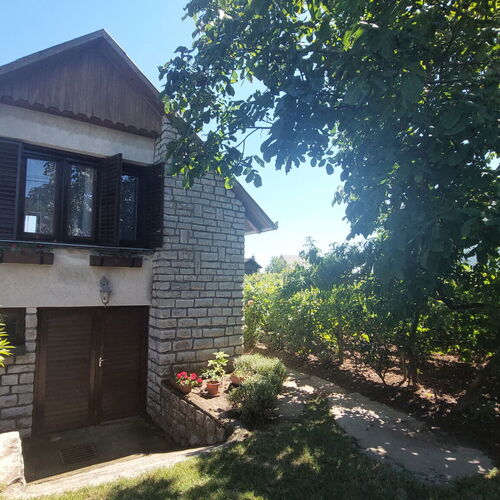 Szóló Szőlő Vendégház 