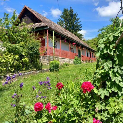 Szőlősor Vendégház Terény 