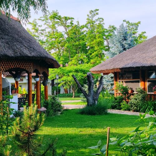 Szőlőszem Farm Tiszaszőlős 3 Szőlőszem Farm Tiszaszőlős