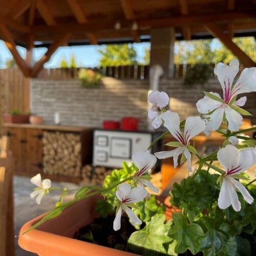 Nivida Vendégház Orfű 