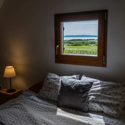 Tagyon Birtok Kései Szüret Apartmanház Tagyonhegy 