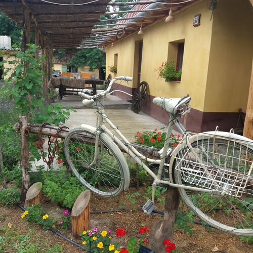 Tanya 360° Lajosmizse 