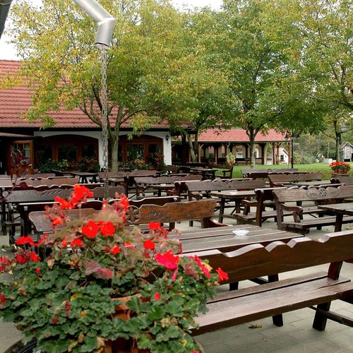 48-as Vendégház Gyopárosfürdő 