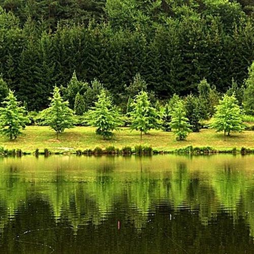 Hársfa Szállás Szeged 