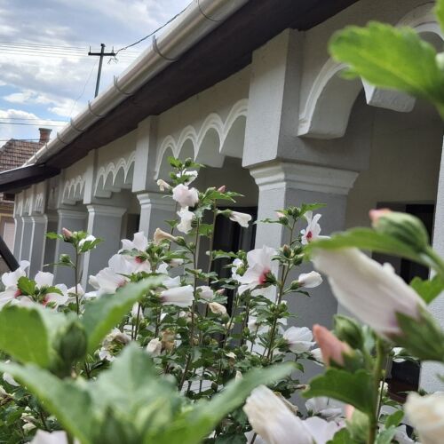 Téli Berek Vendégház Abod 