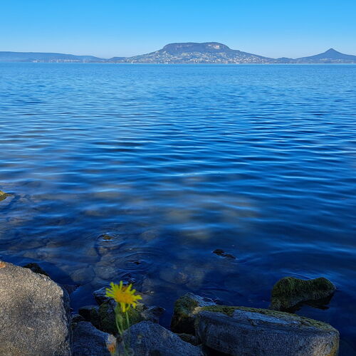 Begónia Vendégház Szigetszentmiklós 