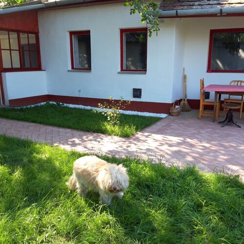 Erdőszéli Parasztház Kékkút 