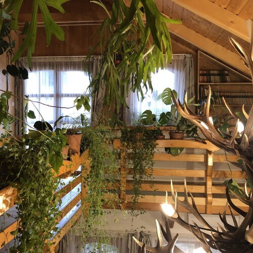 Tiszafa Vendégház Szentgál 