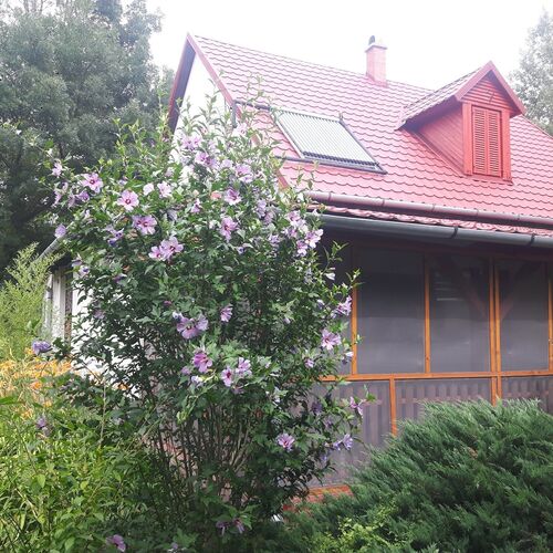 Tiszai Vándor Apartmanház Kisköre 