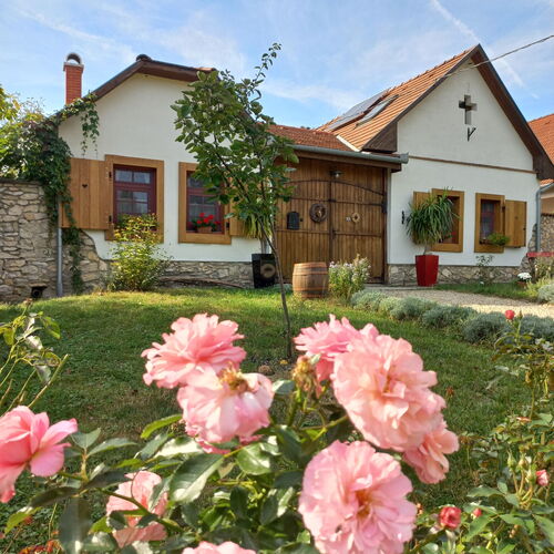 Tölgyfaodú Vendégház Bakonykúti 