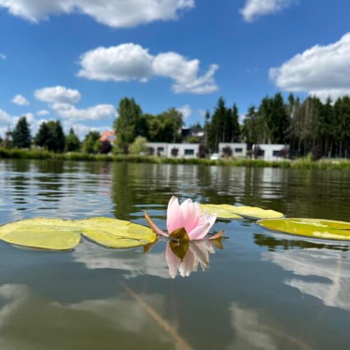 Tópart Apartmanok Nagylengyel 