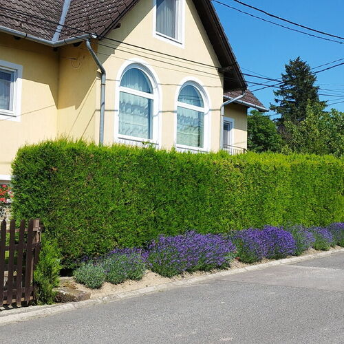 Kovács Pince Apartman Nagyharsány 