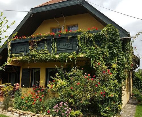 Trófea Apartman Gyenesdiás 