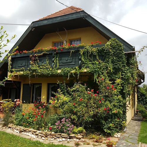 Trófea Apartman Gyenesdiás 