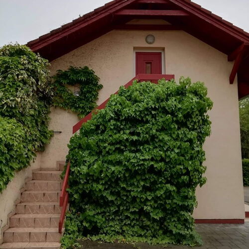 Végállomás Vendégház Göncruszka 