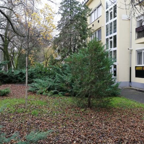 Tulip Family Apartment Eger 